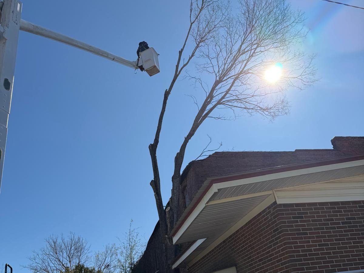El Costeño Tree Service LLC